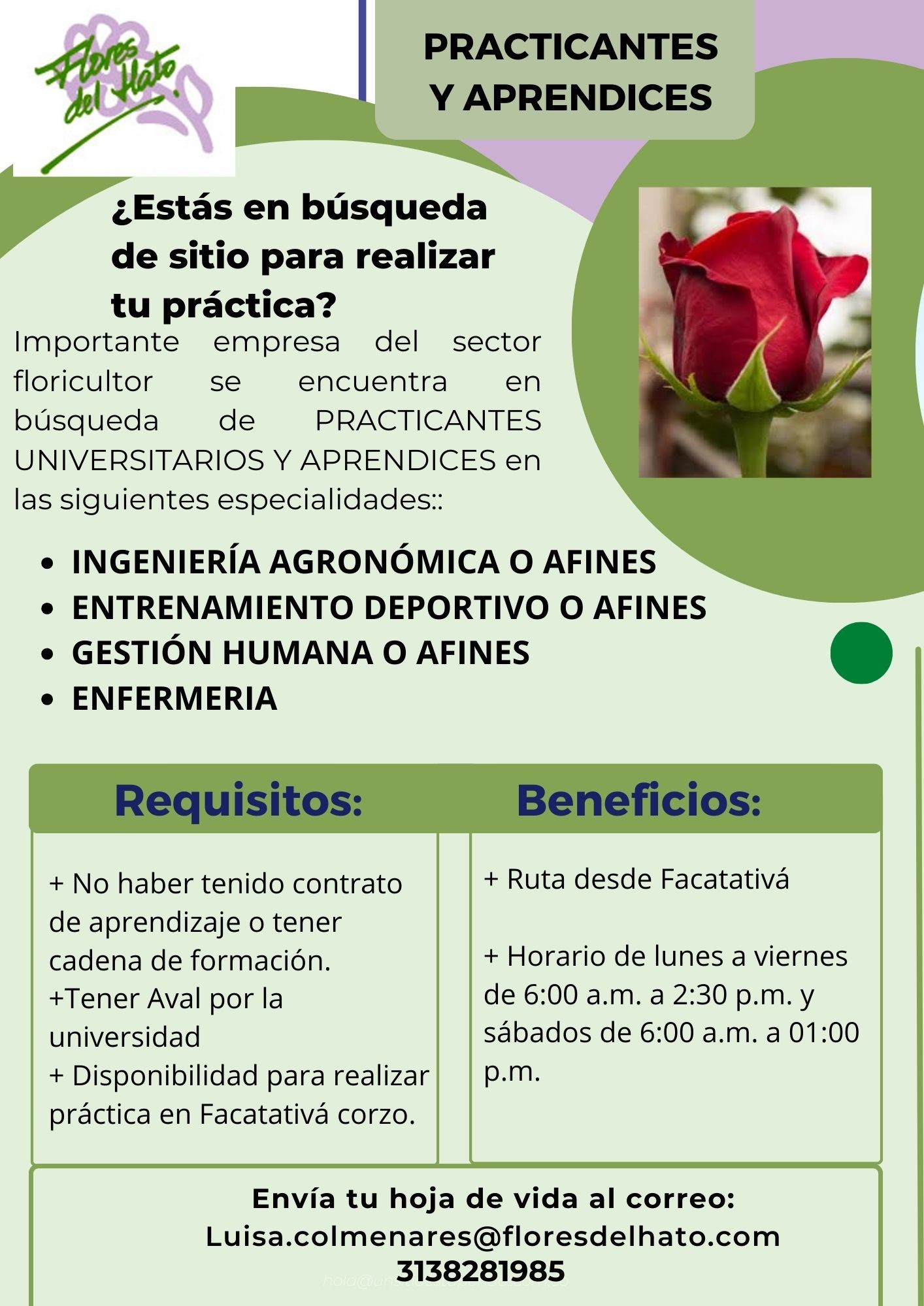 APRENDICES Y PRACTICANTES UNIVERSITARIOS